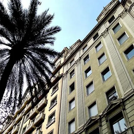 Stylish Diagonal *
